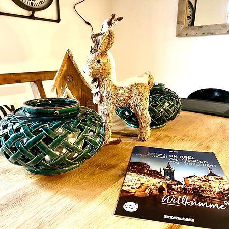 La Maison Du Batelier - Quartier Historique Petite Venise Colmar Esterno foto