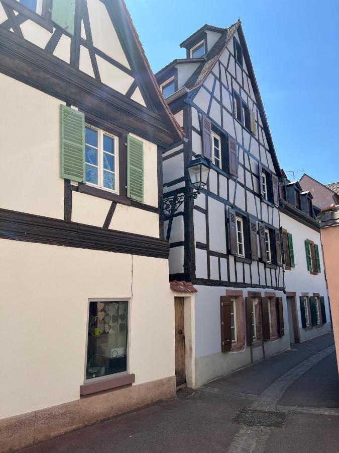 La Maison Du Batelier - Quartier Historique Petite Venise Colmar Esterno foto