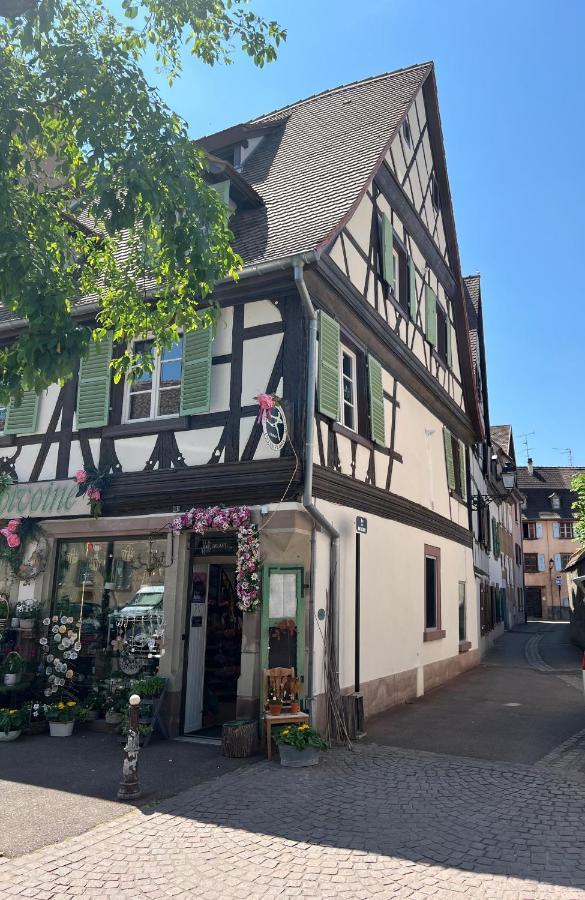 La Maison Du Batelier - Quartier Historique Petite Venise Colmar Esterno foto
